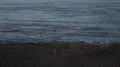 Slo mo subtle Pacific ocean waves over a west coach beach Video HD