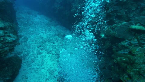 Slo Mo Tilt Up: Scuba diver blowing bubbles while swimming in sea-Belize City, B Stock-Footage 149106437