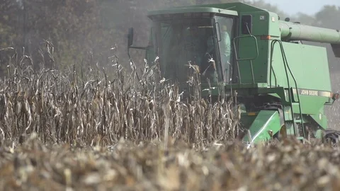 Slo Mo Tractor Harvesting Corn Wide Shot Stock Footage 92540801