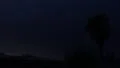 slo mo very sporadic crawler lightning branches seek out path HD Footage