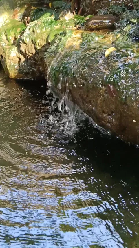 Slo mo video water flow to the pond Stock Footage 236990750