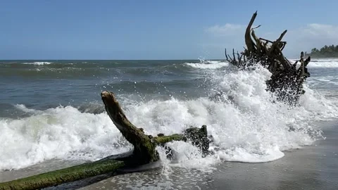 Slo-mo waves 库存影片 254640502