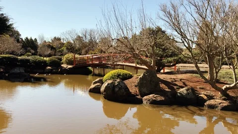 Slo pan of red bridge over pond, trees and green foliage, Ju Raku En Stock Footage 114235432