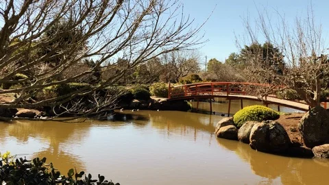 Slo pan of red bridge over pond, trees and green foliage, Ju Raku En Stock Footage 114236589