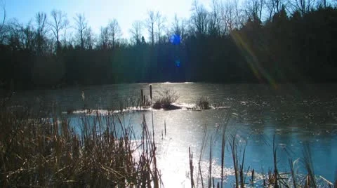 Sloan's Crossing Pond Mammoth Cave National Park Stock-Footage 10589853