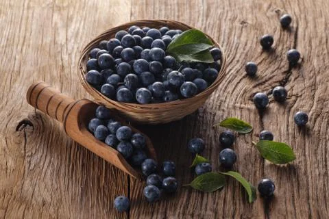Sloes Foto stock