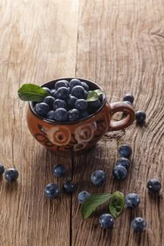 Sloes Stock-Fotos