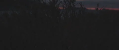 SLog shot of distant red lights against a dark landscape Stock Footage 302352589