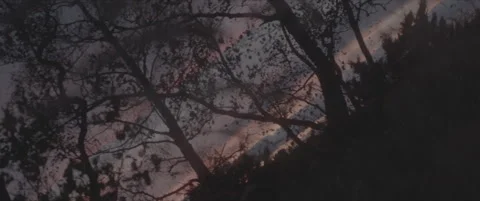 SLog shot of a tilted forest sunset view Stock Footage 302350820