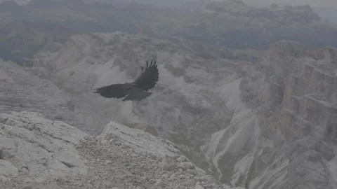 Slog3 2x slowed alpine cough in dolomite alps Stock Footage 320345162