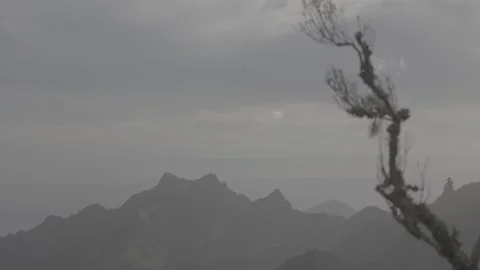 SLog3 Evening view of branch infront of mountains in Tenerife Stock Footage 328242114