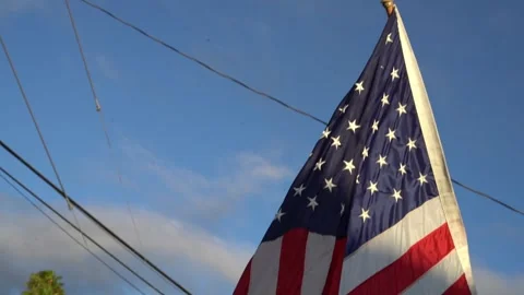 Slomo American Flag blowing in the wind with palm tree Stock Footage 340286292