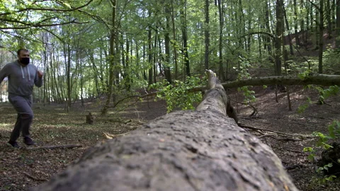 SloMo: Bearded Young Man in Face Mask Doing Push-Ups Against a Fallen Tree in a Stock Footage 130778997