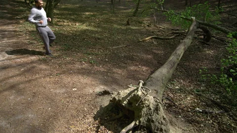 SloMo: Bearded Young Man in Face Mask Doing Push-Ups Against a Fallen Tree in a Video stock 130782644