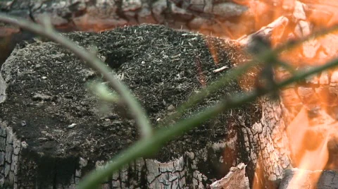 Slomo Fire CU Stockbeeldmateriaal 685347