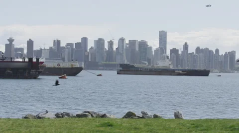 Slomo - Ocean Freighters Skyline Crows Plane Stock Footage 46972748
