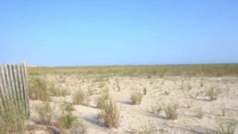 Slomo pan to dune grass Stock Footage 98909688
