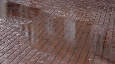 Slomo Rain Reflections Stock Footage 81165263