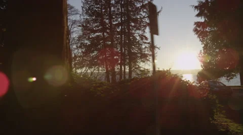 Slomo - Sunlight Trees Ocean Freighter Video stock 47132043
