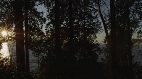 Slomo - Sunlight Trees Ocean Freighters Stock Footage 47131895