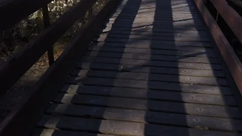 Slomo walking on a bridge 動画素材 145321619