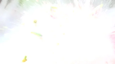 Slomo watermelon shooting Stock Footage 66776452