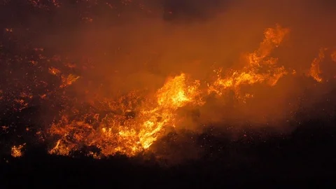 Slomo wildfire closeup Video stock 108704676