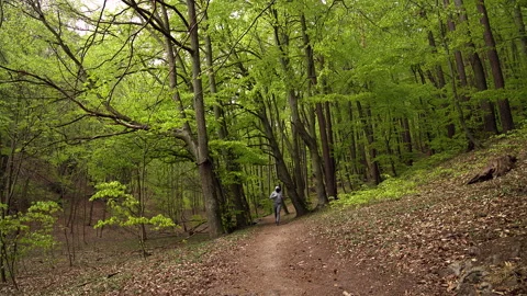 SloMo: Young Man with Beard in Face Mask in Sportswear Running in a Lush Forest Stock Footage 130777664