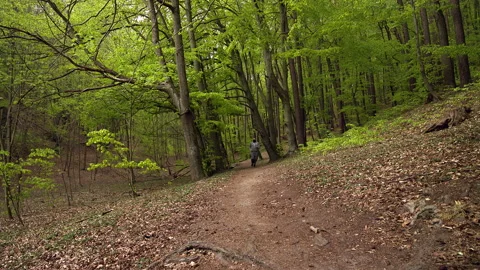 SloMo: Young Man with Beard in Face Mask in Sportswear Running in a Lush Forest Stock Footage 130778192