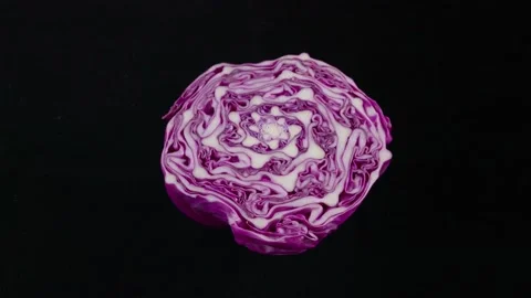 Slomotion Purple Cabbage Cutting Video stock 232369288