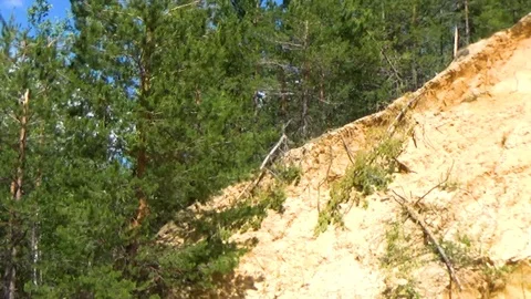 Up the slope of the cliff Stock Footage 91913654