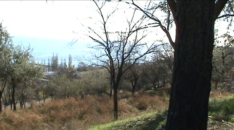 Slope 스톡 동영상 926044