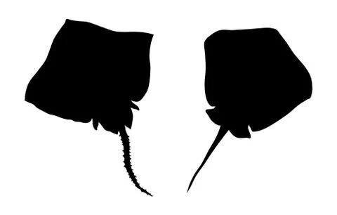 Slope Stock Illustration