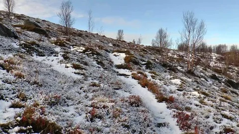 The slope of the mountain with fresh fallen snow. Stock Footage 69077006