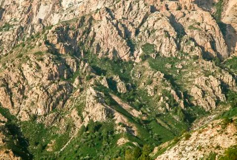 Slope of a mountain Foto stock