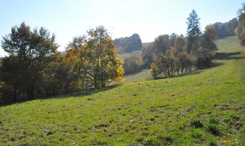 On the slope Stock Photos