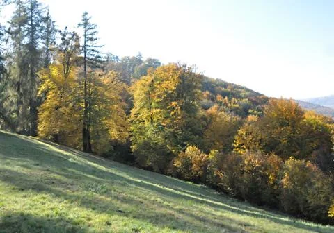 On the slope Stock Photos