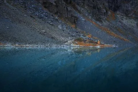 Slope Reflecting In Mirror Like Surface Of Mountain Lake Symmetrically, Altai Stock Photos