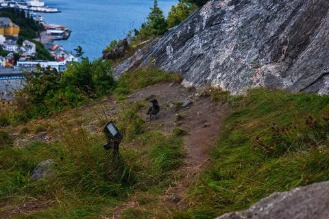 Sloped terrain with sparse vegetation, exposed gray rock face, and coastal ha Stock-Fotos