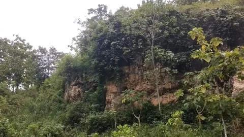 Slopes covered with dense vegetation Stock Footage 327513967