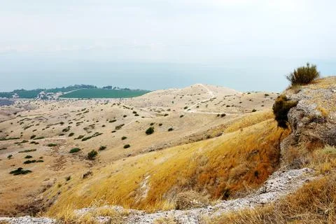 Slopes of the Golan Heights Stock Photos