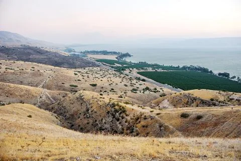 Slopes of the Golan Heights Stock Photos