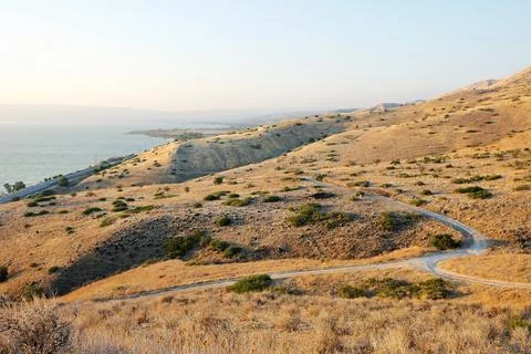 Slopes of the Golan Heights Stock Photos