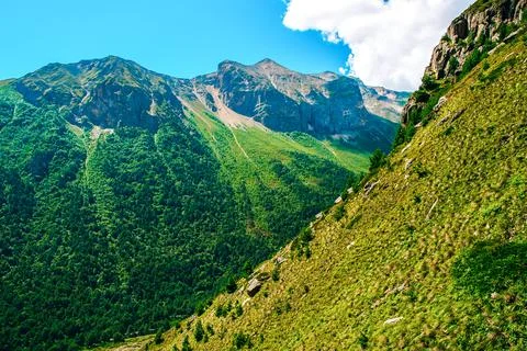 The slopes of the green mountains on a summer day. Beautiful mountains in gre Stock Photos