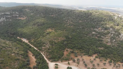 The slopes of Mount Carmel. View from the drone. Northern Israel. 库存影片 113294718