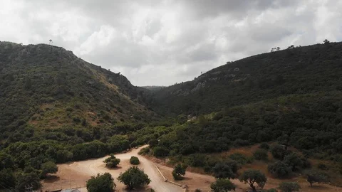 The slopes of Mount Carmel. View from the drone. Northern Israel. Stock Footage 113295689