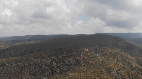 The slopes of Mount Carmel. View from the drone. Northern Israel. 库存影片 113301306