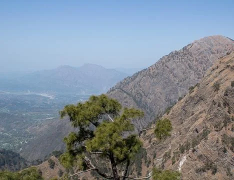 Slopes of mountain with cypress tree in the foreground. Foto stock