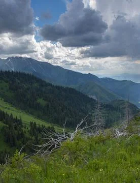 The slopes of the mountain range in the summer in the vicinity of the city of Stock Photos
