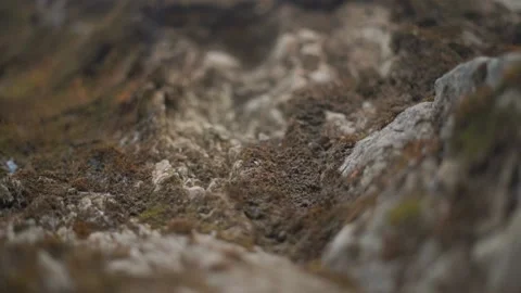 Slopes with sprouted green dense moss on Chimaera mountain Stock Footage 143359878